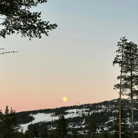 Family Near Slopes Feriehus Nesbyen